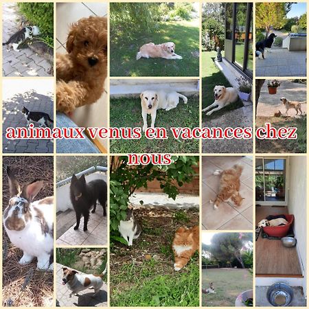 Gite Ma Vie La 3 Etoiles, Jacuzzi, Animaux Acceptes Saint-Julien-de-Cassagnas Eksteriør bilde