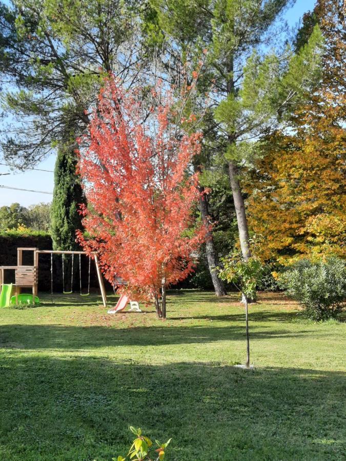 Gite Ma Vie La 3 Etoiles, Jacuzzi, Animaux Acceptes Saint-Julien-de-Cassagnas Eksteriør bilde